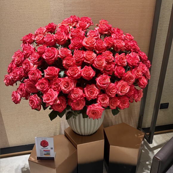 michi0316
